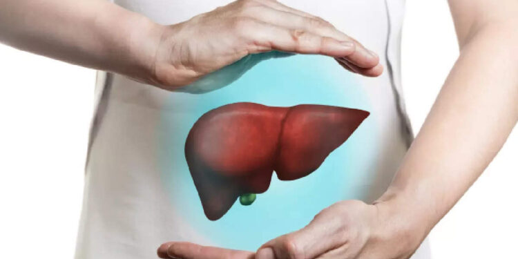 കരളിന്-പണി-കിട്ടാതിരിക്കണമെങ്കിൽ-ഈ-ഭക്ഷണങ്ങൾ-ഒഴിവാക്കണം