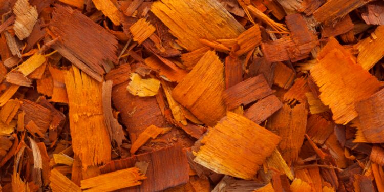 കരിങ്ങാലിക്കാതല്-കൊണ്ട്-ദുര്മേദസ്-അകറ്റാം….