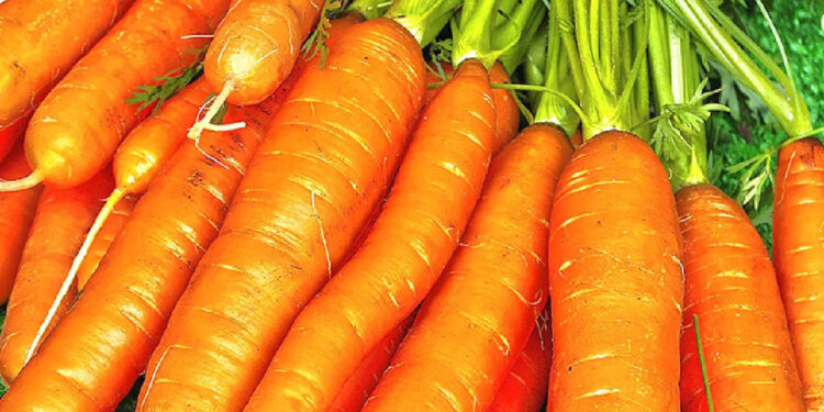 ഹൃദയാരോഗ്യം-സംരക്ഷിക്കാൻ-ദിവസവും-കാരറ്റ്-കഴിക്കാം