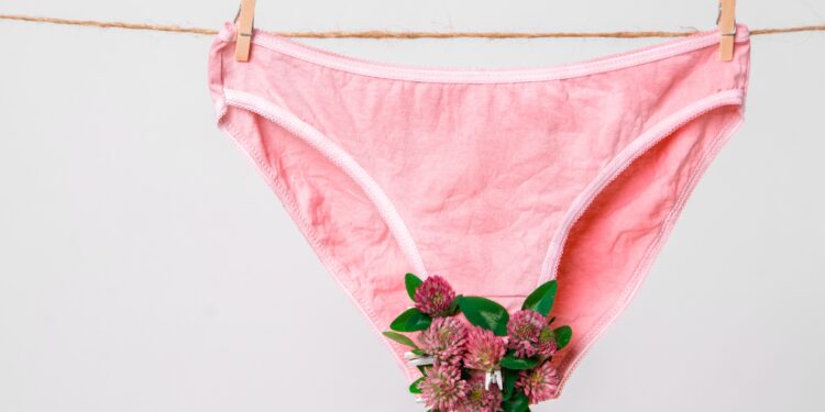 അടിവസ്ത്രങ്ങളും-അയേണ്‍-ചെയ്യണം,-കാരണം-ഇതാണ്