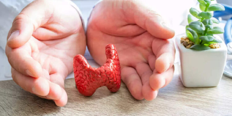 തൈറോയ്ഡ്-ഗ്രന്ഥി-നന്നായി-പ്രവർത്തിക്കാൻ-ഇവ-കഴിക്കണം