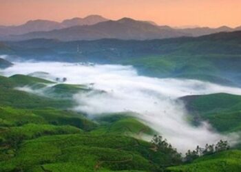 ഇരട്ടിയായി-പാക്കേജുകൾ;-‘ബജറ്റിൽ’-ഹിറ്റ്‌-മൂന്നാർ