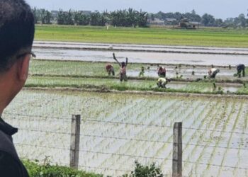അഗ്നിപർവ്വത-തടാകം-ഡോ.-കെ-ടി-ജലീലിന്റെ-ഇന്തോനേഷ്യൻ-കുറിപ്പുകൾ-അഞ്ചാം-ഭാഗം