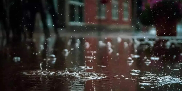 മഴ-കനക്കുന്നു;-മത്സ്യത്തൊഴിലാളികള്‍ക്ക്-പുതുക്കിയ-നിര്‍ദേശം;-ഇന്ന്-ഈ-ജില്ലകളില്‍-യെല്ലോ-അലേര്‍ട്ട്