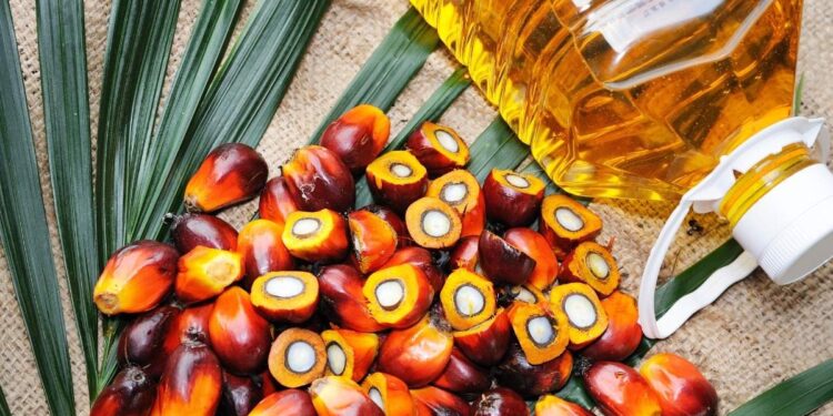 പാം-ഓയില്‍-പാചകത്തിന്-ഉപയോഗിയ്ക്കുന്നത്-ദോഷം-വരുത്തുമോ,-അറിയൂ.