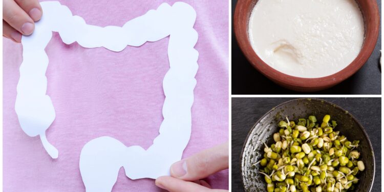 ​ഈ-ആഹാരങ്ങള്‍-പതിവായി-കഴിച്ചാല്‍-മലബന്ധം-മുതല്‍-മൂലക്കുരുവരെ-തേടിവരും​