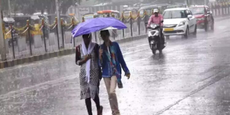 വീണ്ടും-മഴ-ശക്തമാകും;-അടുത്ത-നാല്-ദിവസത്തേക്ക്-ഈ-ജില്ലകളിൽ-വിവിധ-യെല്ലോ-അലേർട്ട്