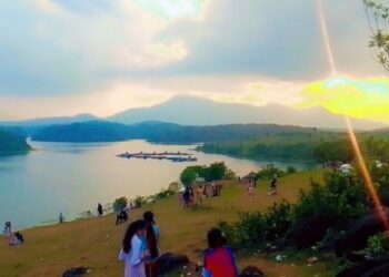 ജലശേഖരത്തെ-സുന്ദരിയാക്കി-ആമ്പലുകളും-പച്ചപ്പുല്‍മേടുകളും;-മനം-മയക്കി-നെല്ലാറച്ചാൽ