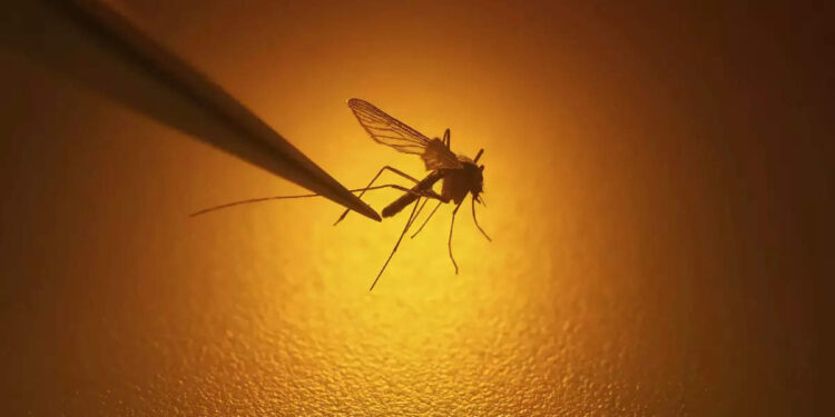 പകർച്ചപ്പനി-പ്രതിരോധം:-ആഴ്ചയിൽ-മൂന്ന്-ദിവസം-ശുചീകരണ-പ്രവർത്തനം;-എല്ലാ-മണ്ഡലങ്ങളിലും-അവലോകന-യോഗം