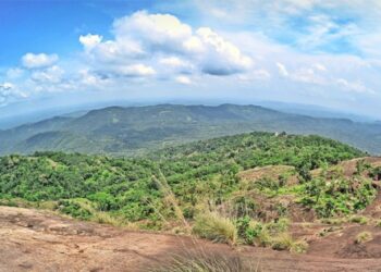 കൺനിറയെ-കാണാം-തേയിലപ്പാറ