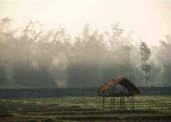 മഴയില്‍-വിരിഞ്ഞ-വയനാട്