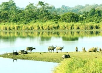 യാർലങ്-സാങ്പോ……വടക്കു-കിഴക്കൻ-അതിർത്തിയിലെ-വൈവിധ്യങ്ങൾക്കും-ദുരന്തങ്ങൾക്കും-സാക്ഷി