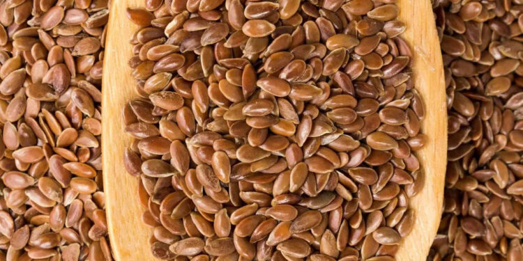 ഭക്ഷണത്തിൽ-ഫ്ലാക്സ്-സീഡ്സ്-ഉൾപ്പെടുത്തിയാൽ-പലതുണ്ട്-ഗുണങ്ങൾ