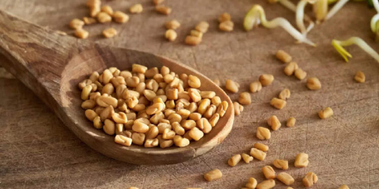 സദ്ഗുരുവിൻ്റെ-ആരോഗ്യത്തിന്-പിന്നിൽ-ഈ-പ്രഭാത-ഭക്ഷണമാണ്,-ഗുണങ്ങൾ-നിരവധി