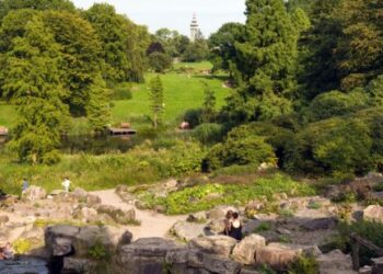 കളിവീടുകൾ-അശോകൻ-ചരുവിലിന്റെ-ജർമൻ-യാത്രാനുഭവങ്ങളിലൂടെ…