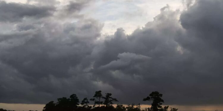 അത്തച്ചമയം-മഴയിൽ-കുതിരുമോ?-എറണാകുളം-അടക്കം-വിവിധ-ജില്ലകളിൽ-മഴയ്ക്ക്-സാധ്യത