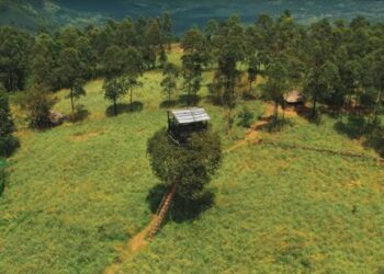 കാന്തളകള്‍-വിരിയും-‘കാന്തല്ലൂർ’;-നാനൂറ്-വർഷം-മുമ്പ്‌-ആരംഭിച്ച-കുടിയേറ്റ-ഭൂമിക