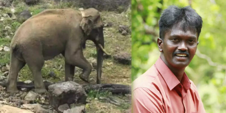 അരിക്കൊമ്പൻ-ഗണപതി-ഭഗവാന്‍റെ-രൂപം;-ചിന്നക്കനാലിലേക്ക്-തിരിച്ചെത്തിക്കാൻ-ഏതറ്റം-വരെയും-പോകും:-വാവ-സുരേഷ്