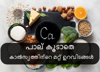 ​പാലില്‍-നിന്നും-മാത്രമല്ല,-ഇവ-കഴിച്ചാലും-കാല്‍സ്യം-ലഭിക്കും​