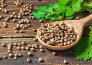 പ്രമേഹം-കൂടുതലാണോ?-കുറയ്ക്കാൻ-മല്ലി-വെള്ളം-കുടിച്ചാൽ-മതി