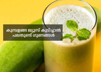 അമിതഭാരം-മുതൽ-പ്രമേഹം-വരെ-പിടിച്ച്-കെട്ടാൻ-കുമ്പളങ്ങ-ജ്യൂസ്-മതി
