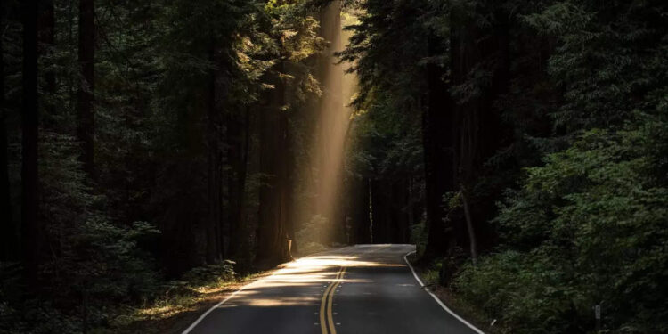 ആ-രാജപാത-ദേശീയപാതയായി-വരുമോ?-ആലുവ-–-ഉദുമൽപെട്ട്-ദേശീയപാത-വന്നാൽ-നാടിന്‍റെ-മുഖച്ഛായ-മാറും;-റൂട്ട്-ഇങ്ങനെ