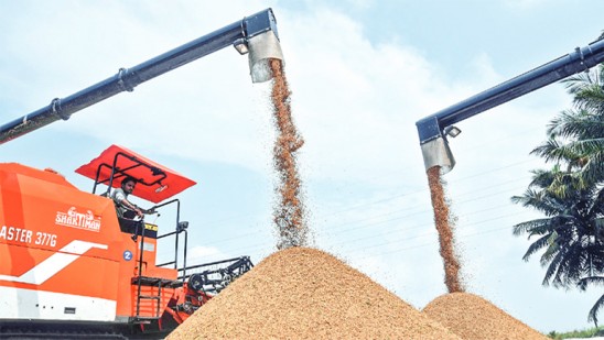 നെല്ല്-സംഭരണം-;-ബിജെപി-നിലപാട്-ആവർത്തിച്ച്-
കെപിസിസി-പ്രസിഡന്റും