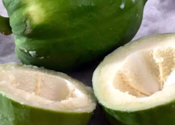 പച്ച-പപ്പായ-ആരോഗ്യത്തിന്-ഏറെ-നല്ലതാണ്,-ഗുണങ്ങൾ-അറിയാമോ