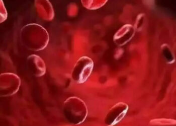 എന്താണ്-പ്ലേറ്റ്‌ലെറ്റ്‌സ്,-ഇത്-കുറഞ്ഞുപോകുന്നതിന്-പുറകില്‍…