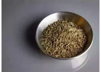 വയറും-തടിയും-കുറയ്ക്കാന്‍-ജീരകവെള്ളം-തയ്യാറാക്കേണ്ട-വിധം….