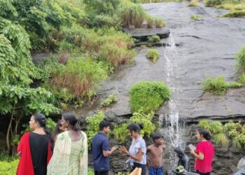 മൺസൂണിൽ-കാഴ്‌ചവസന്തം-നിറച്ച്‌-തെക്കേ-മലമ്പുഴ