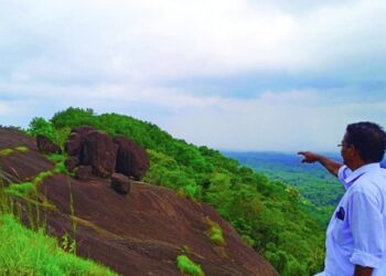 വിദൂരക്കാഴ്‍ചയുടെ-ദൃശ്യവിരുന്നുമായി-കുട്ടിവനത്തിലെ-ആനപ്പാറ