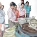 മിഠായിയിലും-സിപ്‌-അപ്പിലും-മായം-:-സ്കൂള്‍പരിസരത്തെ-81-കട-പൂട്ടി