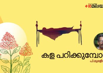 കള-പറിക്കുമ്പോൾ-പി.-മുരളീധരൻ-എഴുതിയ-കഥ