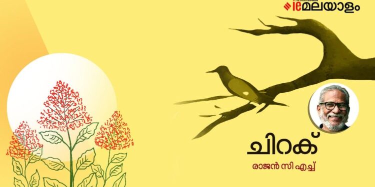 ചിറക്-രാജന്‍-സി-എച്ച്-എഴുതിയ-കവിത