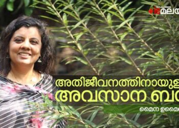 പരിസ്ഥിതി-സംരക്ഷണം-കോമാളിത്തമല്ല