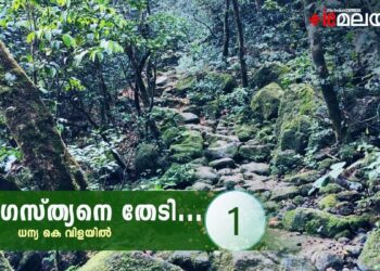 കാടും-മേടും-താണ്ടി-അഗസ്ത്യനെ-കാണാൻ….