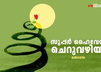 സൂപ്പർ-ഹൈവേയും-ചെറുവഴിയും-തെരേസ-എഴുതിയ-കഥ