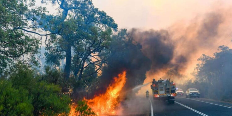 കാട്ടുതീ-ഭീഷണിയില്‍-വിക്‌ടോറിയയുടെ-പടിഞ്ഞാറന്‍-മേഖല;-വീടുകള്‍-ഒഴിയാന്‍-നിര്‍ദേശം