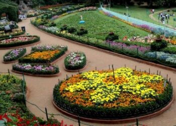 കൂനൂർ-സിംസ്-പാർക്കിൽ-പഴങ്ങളുടെ-പ്രദർശനം;-നീ​ല​ഗി​രി-ജി​ല്ല​യി​ലേ​ക്ക്-വി​നോ​ദ​സ​ഞ്ചാ​രി​ക​ളു​ടെ-ഒഴുക്ക്