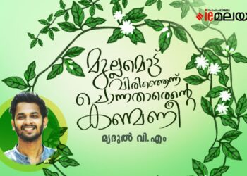 മുല്ലമൊട്ടു-വിരിഞ്ഞെന്ന്-ചൊന്നതാരെന്റെ-കണ്മണീ?-മൃദുൽ-വി.എം-എഴുതിയ-കഥ