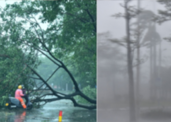 ദക്ഷിണ-ചൈനയിൽ-ആഞ്ഞടിച്ച്‌-‘യാഗി’:-വേഗത-മണിക്കൂറിൽ-234-കിലോമീറ്റർ;-മരണം-3