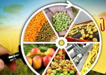 ഇന്ത്യ-–-കുവൈത്ത്-വാണിജ്യ-വ്യാപാരമേള