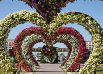 യുഎഇയിൽ-ഔട്ട്ഡോർ-ഡെസ്റ്റിനേഷനുകൾ