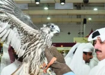 കത്താറ-ഇന്റർനാഷണൽ-ഹണ്ടിംഗ്-ആൻഡ്-ഫാൽക്കൺസ്-എക്‌സിബിഷന്-തുടക്കമായി