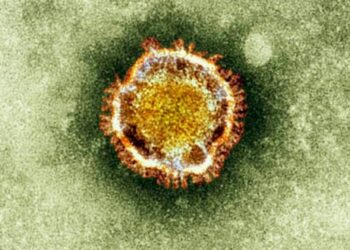 പുതിയ-കോവിഡ്‌-വകഭേദം- യുഎസിലും-പടരുന്നു
