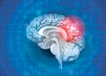 മറക്കരുത്-ഓർമ്മകൾ-മായുന്നവരെ-കാക്കാൻ;-ഇന്ന്-ലോക-അൽഷിമേഴ്സ്-ദിനം