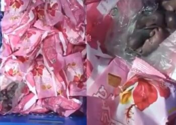 സിദ്ധി-വിനായക-ക്ഷേത്രത്തിലെ-പ്രസാദ-പായ്ക്കറ്റിൽ-എലിയെ-കണ്ടെത്തി