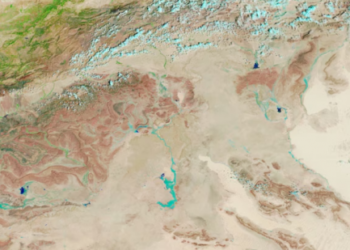മഴയിൽ-തളിർത്ത്‌-സഹാറ;-ചിത്രങ്ങൾ-പങ്കുവെച്ച്‌-നാസ