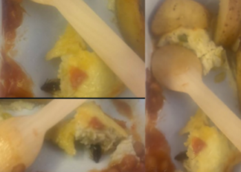 എയർ-ഇന്ത്യ-വിളമ്പിയ-ഓംലറ്റിൽ-പാറ്റ;-പരാതിയുമായി-യാത്രക്കാരി